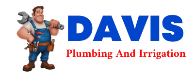 Trusted plumber in SAUK CITY